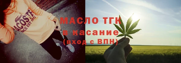 гидра Заводоуковск