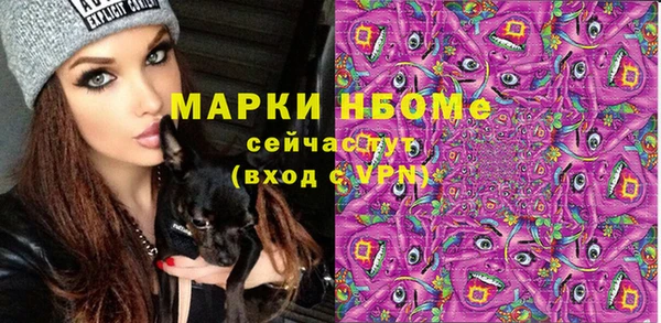 метадон Ельня