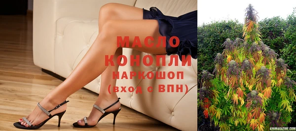 метадон Ельня