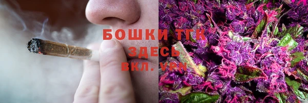 гидра Заводоуковск