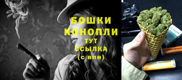 метадон Ельня